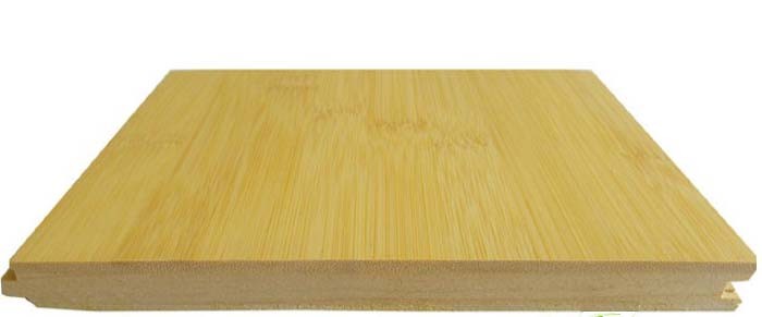 Bamboo Wood Floor